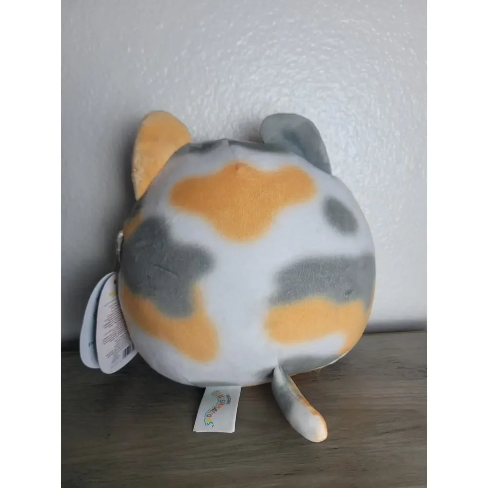 Squishmallows introducing adorable